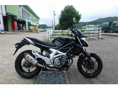 Suzuki GLADIUS650