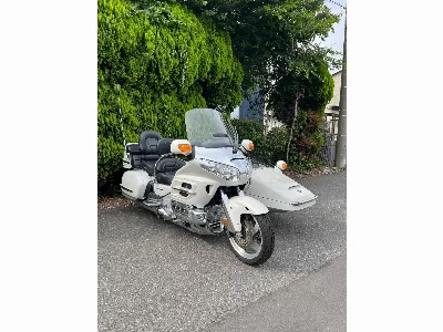 Honda GL1800 SIDE-CAR