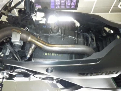 Suzuki JIKUSA-250SF