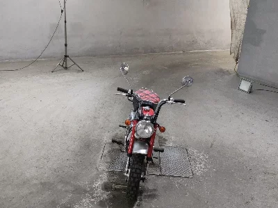 Honda MONKEY