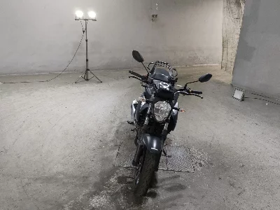 Suzuki JIKUSA-250