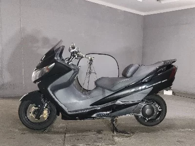 Suzuki SKYWAVE 250