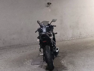 Yamaha YZF-R25