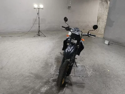Yamaha WR250X