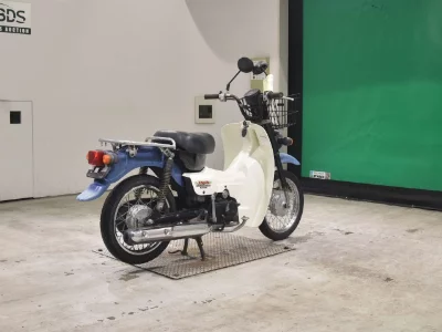 Suzuki BIRDIE50