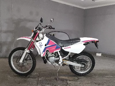 Yamaha DT200WR