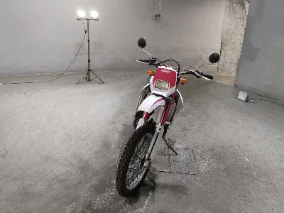 Yamaha DT200WR