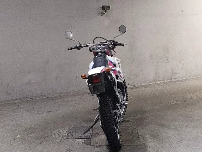 Yamaha DT200WR
