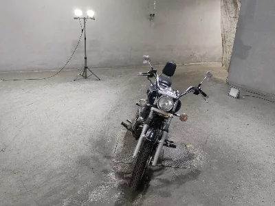 Yamaha DRAGSTAR 250