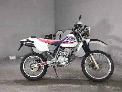 Honda XR250 BAJA