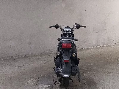Honda ZOOMERX