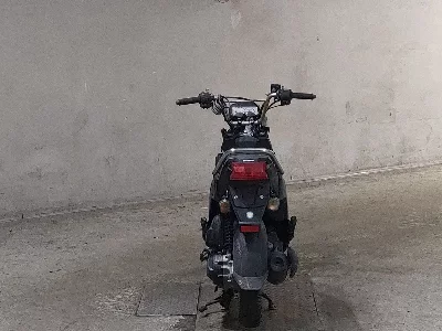 Honda ZOOMERX