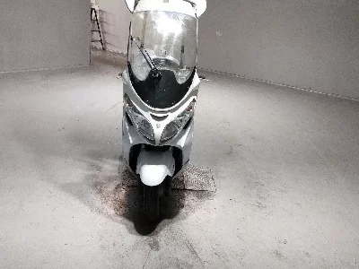 Suzuki SKYWAVE 250SS