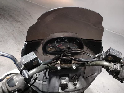 Suzuki SKYWAVE 250