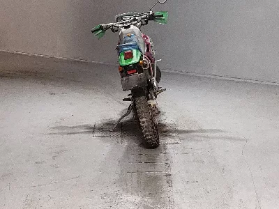Kawasaki KDX250SR