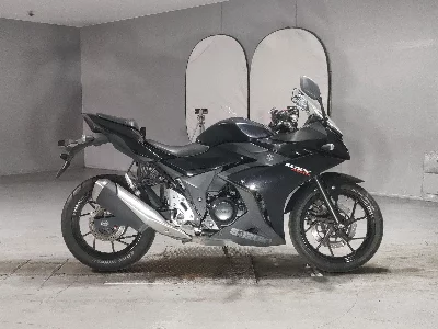 Suzuki GSX250R