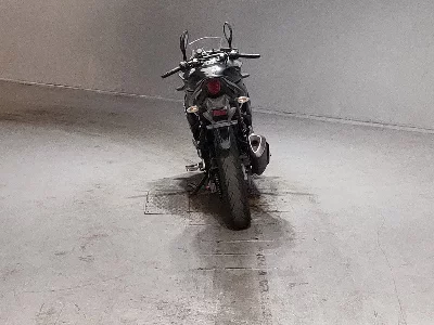Suzuki GSX250R