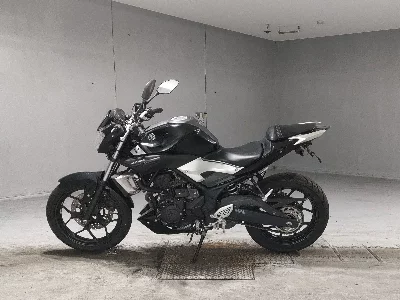 Yamaha MT-25