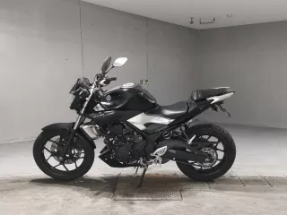 Yamaha MT-25