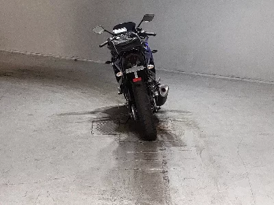 Yamaha YZF-R25