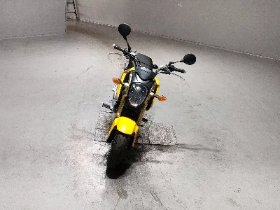 Honda GU ROM