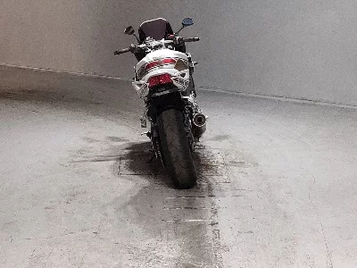 Yamaha FZ-1 FEATHER