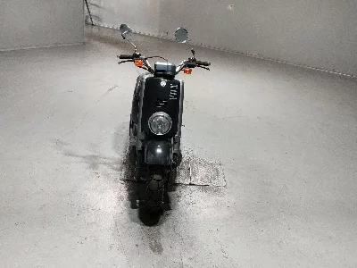 Yamaha VOX