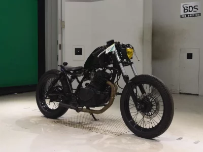 Suzuki GLASS TRACKER BIG BOY