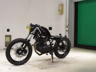 Suzuki GLASS TRACKER BIG BOY