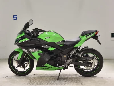 Kawasaki NINJA250