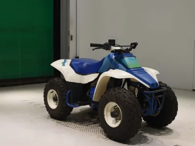 Suzuki LT80