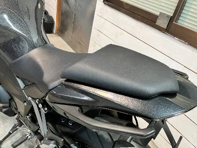 Kawasaki Ninja 1000 ABS