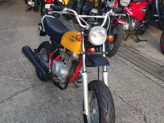 Honda APE100