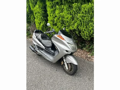 Yamaha MAJESTY 250