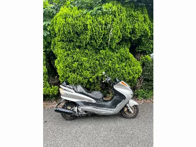 Yamaha MAJESTY 250
