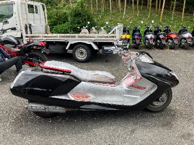 Yamaha MAXAM250