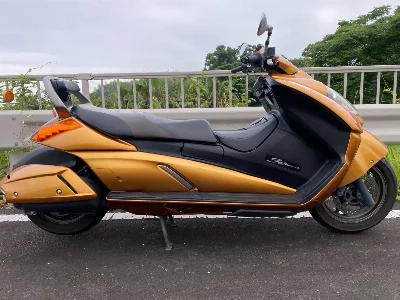 Suzuki GEMMA250
