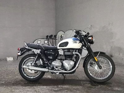 Triumph TRIUMPH BONNEVILLE T100