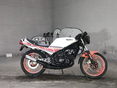 Yamaha RZ250R