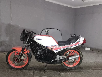 Yamaha RZ250R