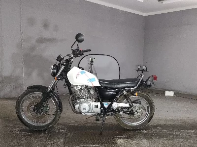 Suzuki GLASS TRACKER BIG BOY