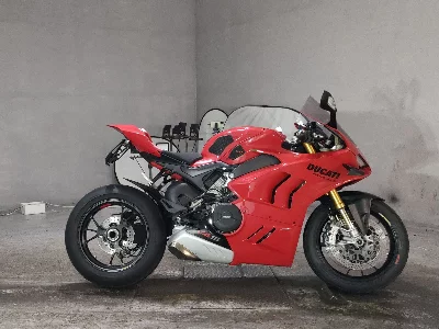 Ducati DUCATI PANIGA-REV4S