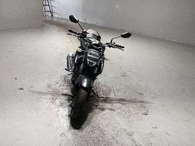 Suzuki JIKUSA-250