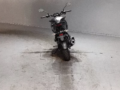 Suzuki JIKUSA-250