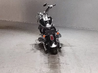 Harley-Davidson HARLEY FLSTS1450