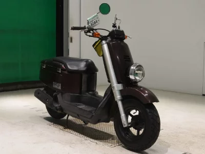Yamaha VOX