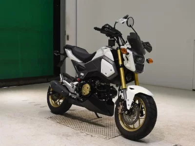 Honda GU ROM