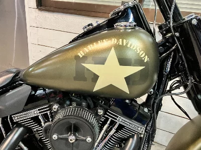 Harley-Davidson HARLEY FLSS