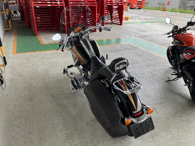 Harley-Davidson HARLEY FLSTNSE1800CVO
