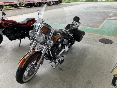 Harley-Davidson HARLEY FLSTNSE1800CVO